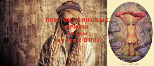 хмурый Алексеевка