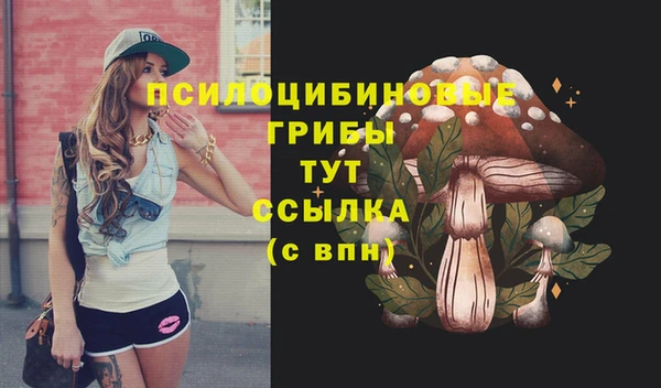 MESCALINE Алзамай