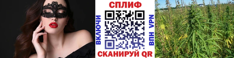 Конопля MAZAR  Солнечногорск 